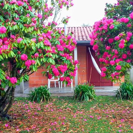 Recanto Da Natureza, Chale Gonçalves Extérieur photo