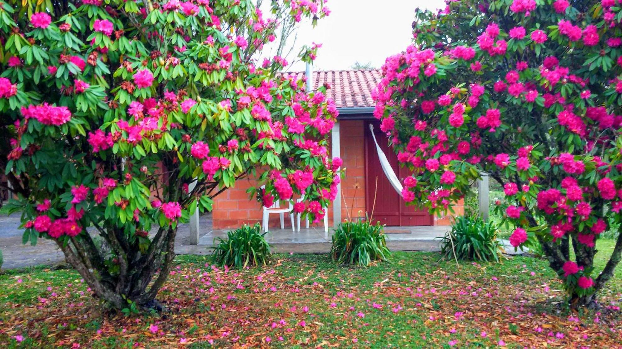 Recanto Da Natureza, Chale Gonçalves Extérieur photo