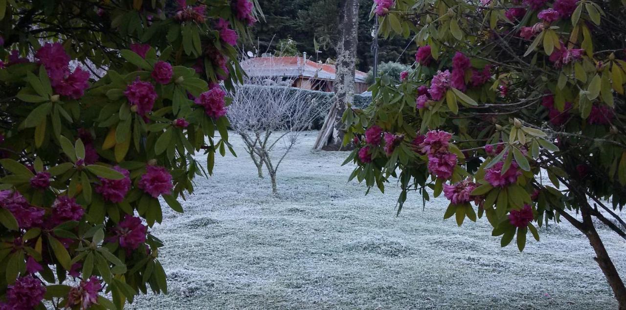 Recanto Da Natureza, Chale Gonçalves Extérieur photo