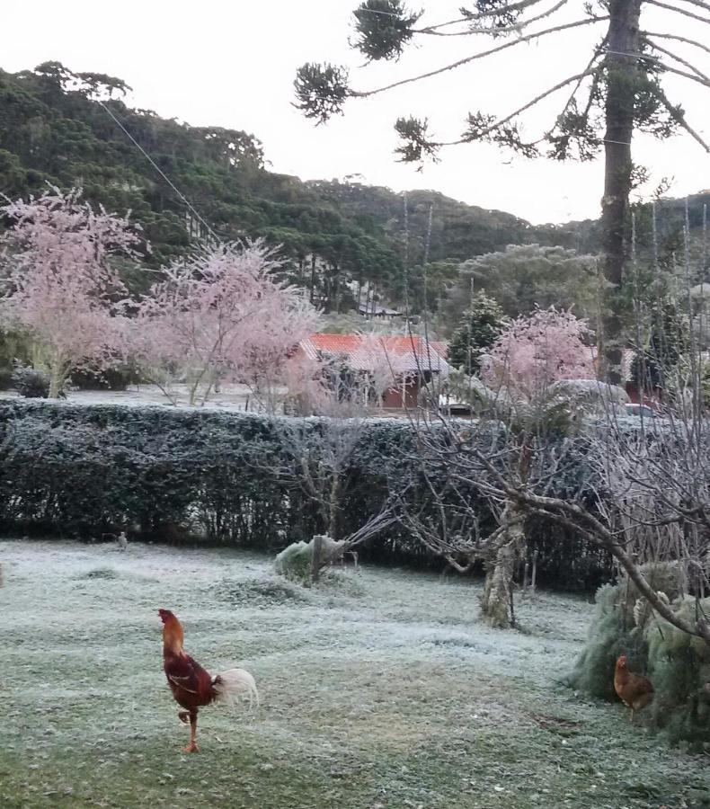 Recanto Da Natureza, Chale Gonçalves Extérieur photo