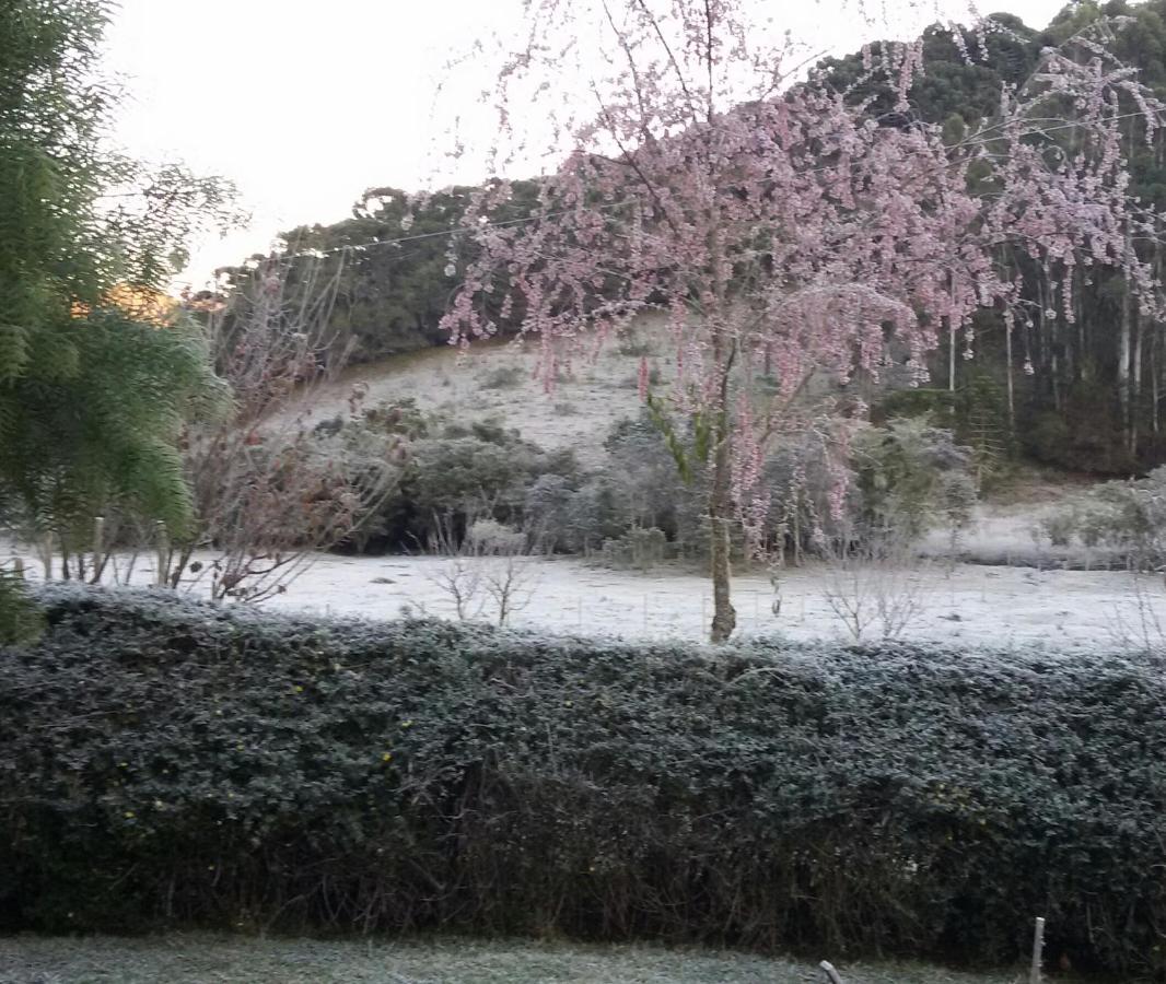 Recanto Da Natureza, Chale Gonçalves Extérieur photo