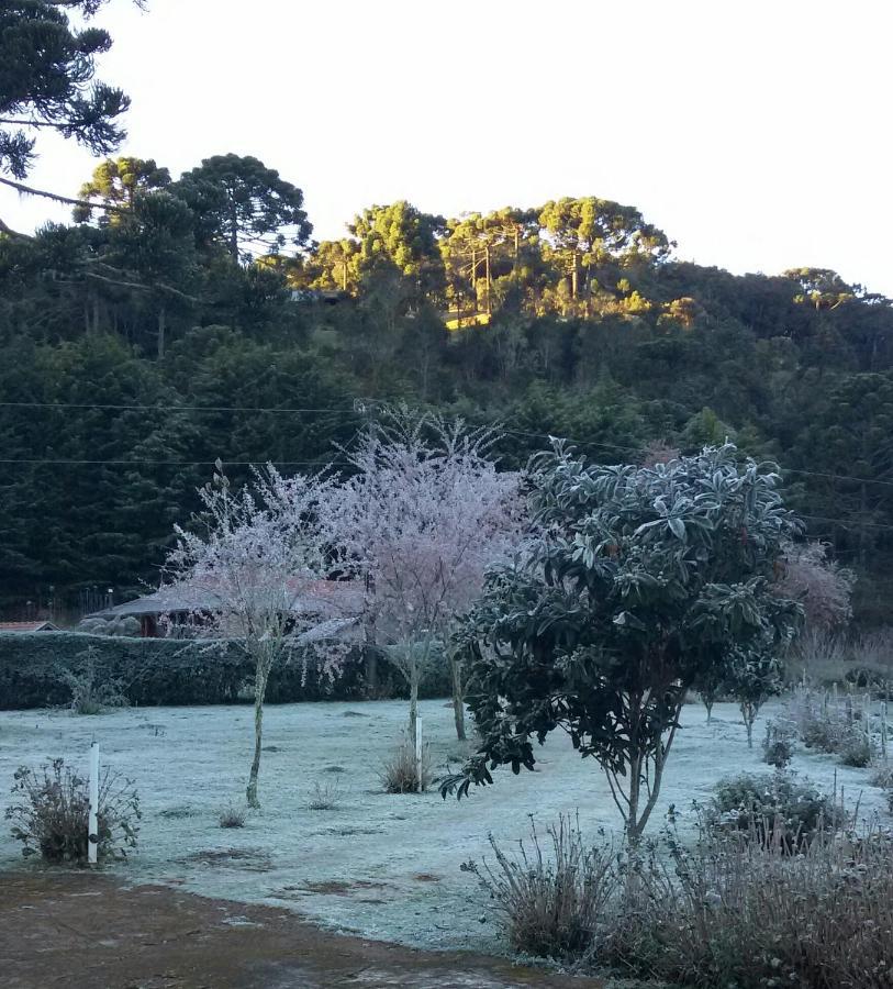 Recanto Da Natureza, Chale Gonçalves Extérieur photo