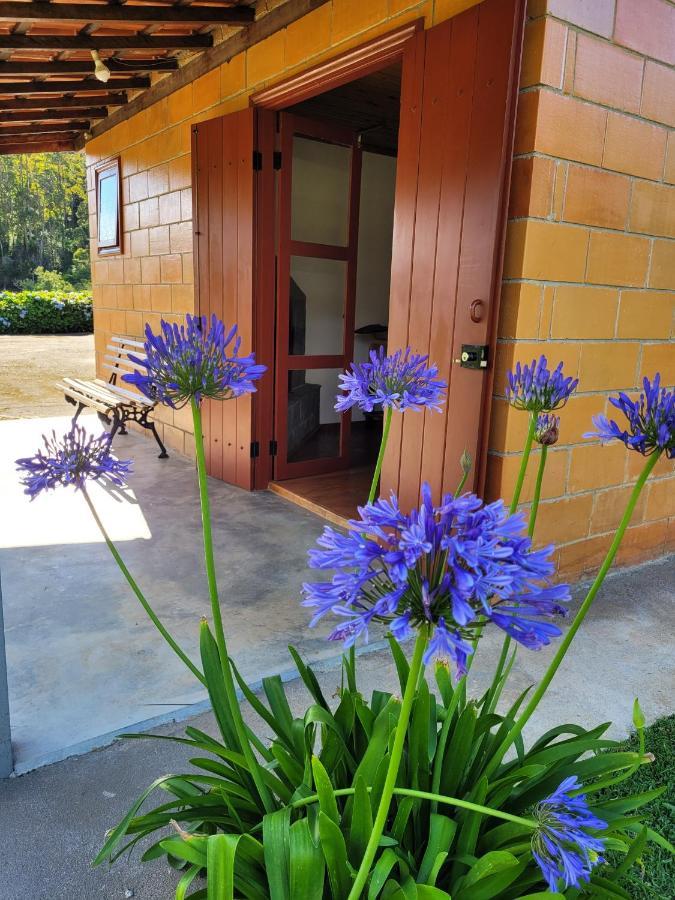 Recanto Da Natureza, Chale Gonçalves Extérieur photo