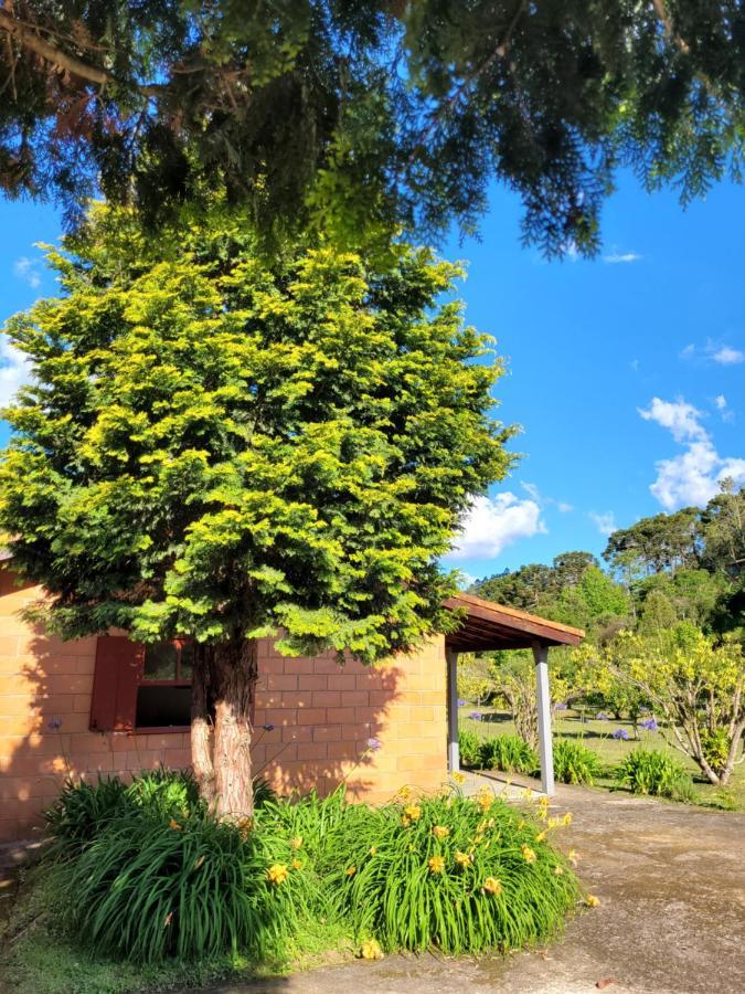 Recanto Da Natureza, Chale Gonçalves Extérieur photo