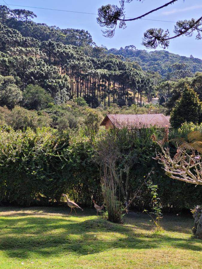 Recanto Da Natureza, Chale Gonçalves Extérieur photo